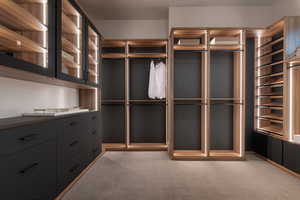 Walk in closet with light colored carpet