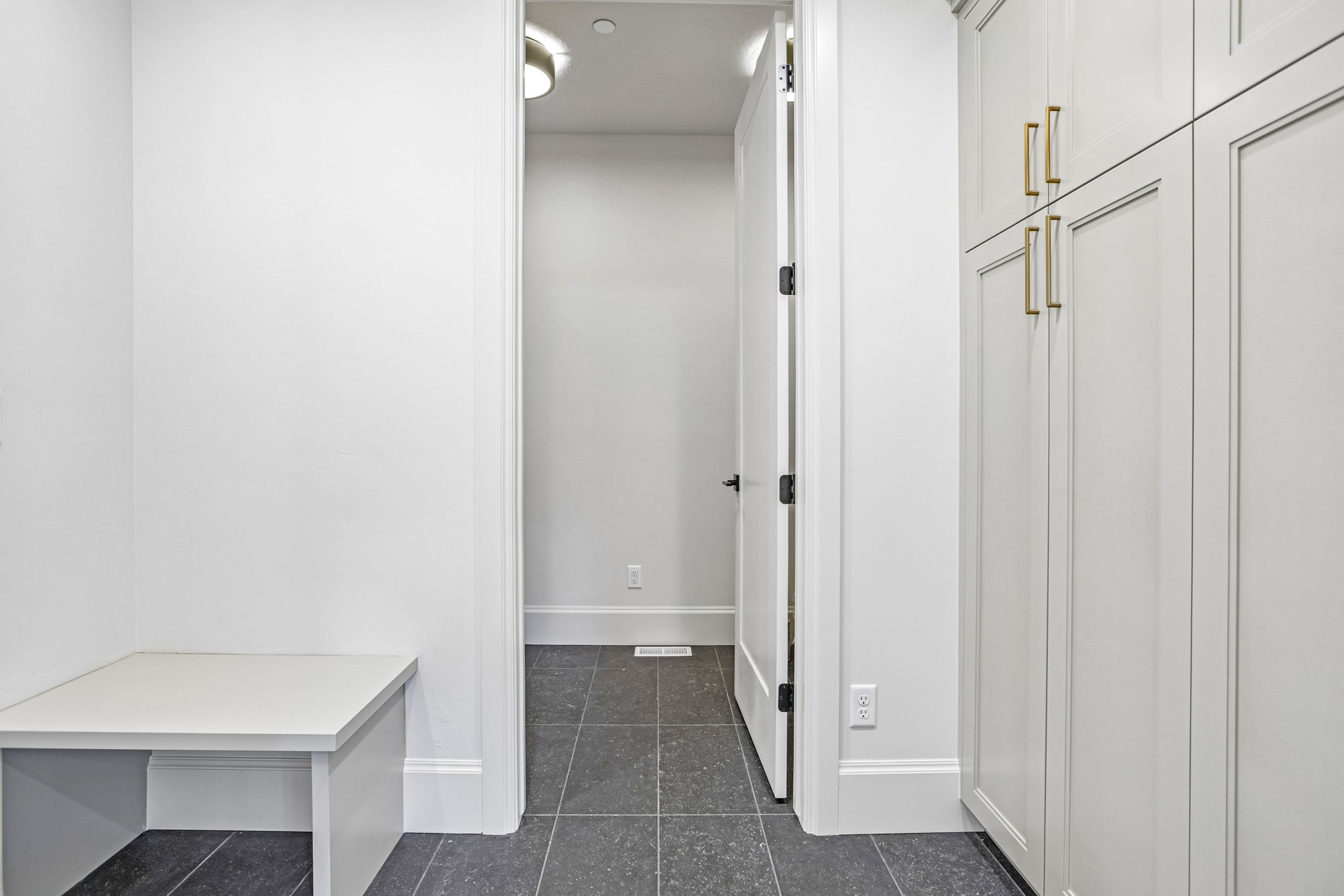 Built-in white cabinetry with gold-tone hardware