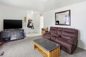 Carpeted living area with white wall finishes and a built-in ceiling light fixture