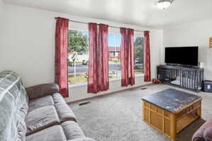 Living area featuring neutral wall paint, carpet flooring, a multi-pane window, and a ceiling-mounted light fixture
