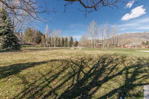 View of green lawn with a mountain view and a rural view