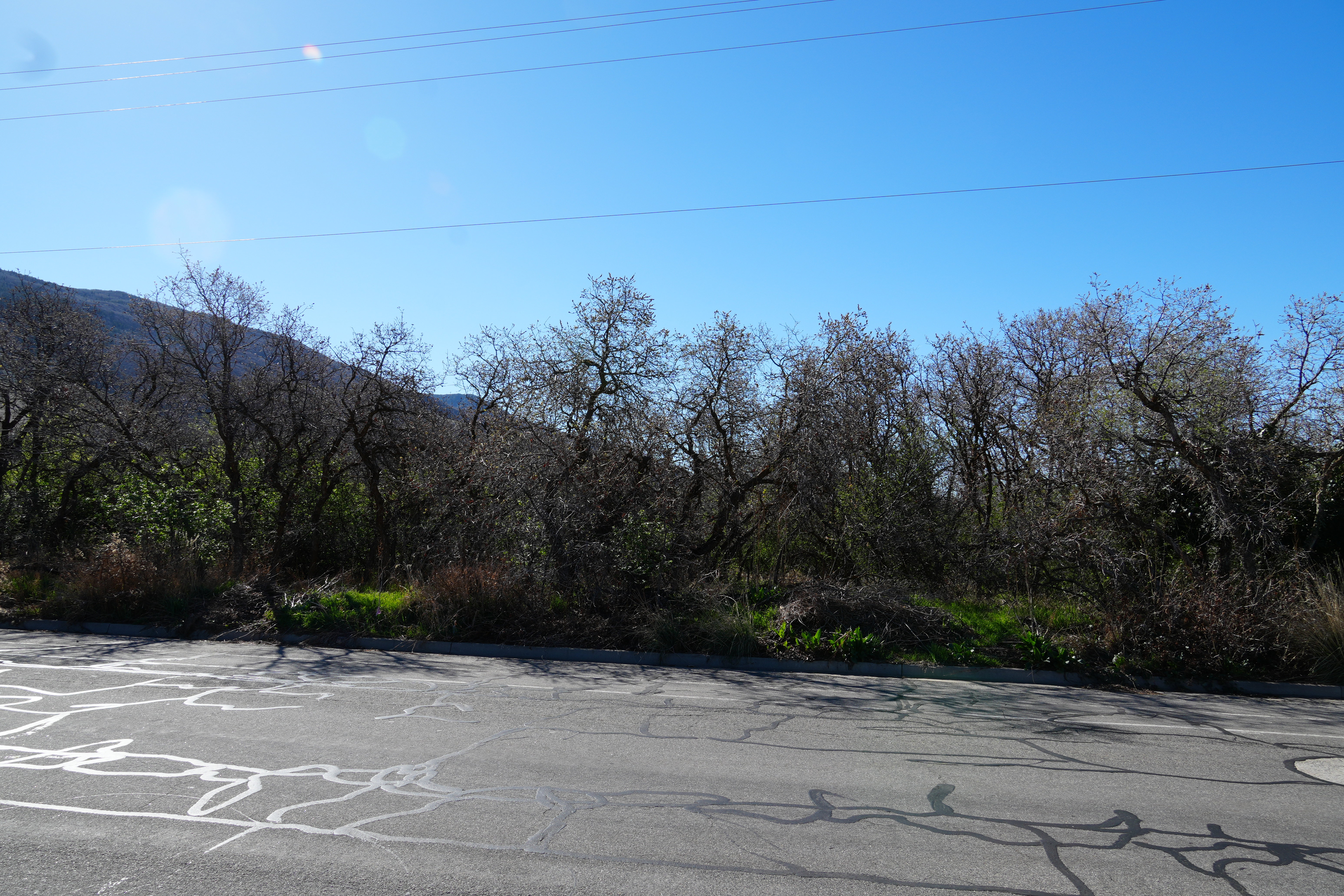 View of asphalt street with a mountain view