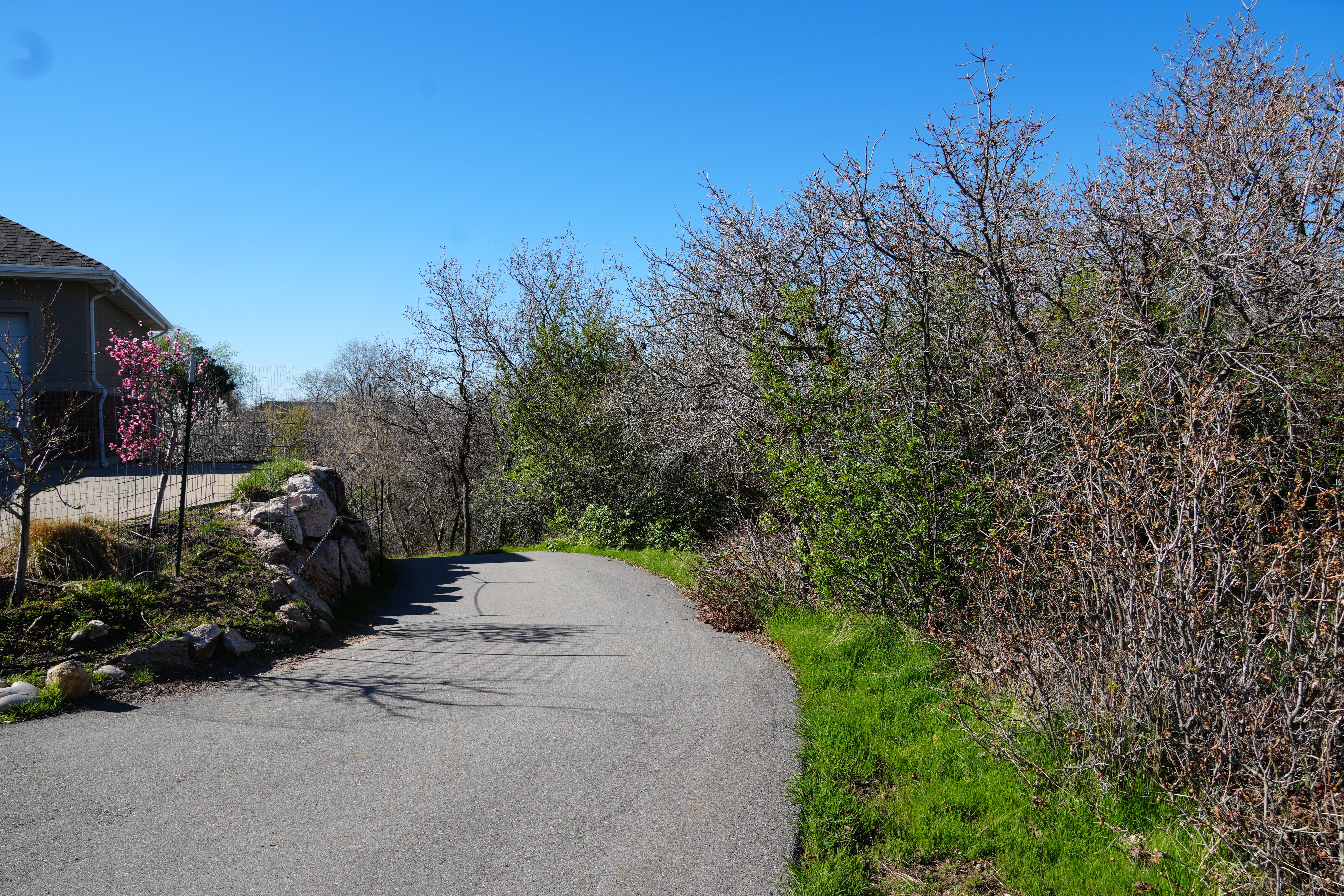 View of road