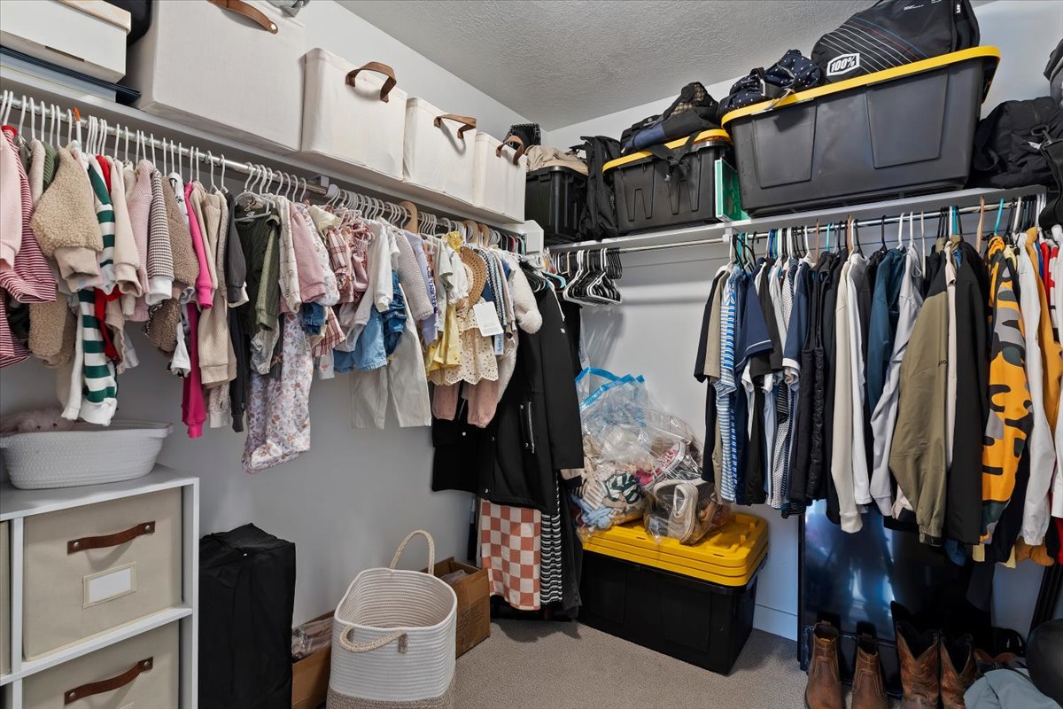 Walk in closet with light carpet
