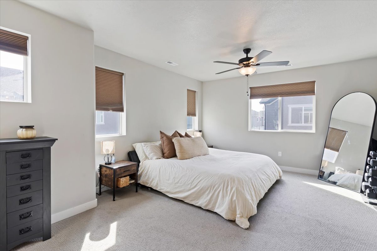 Carpeted bedroom featuring multiple windows and ceiling fan