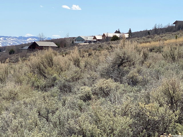 View of mountain background with rural landscape