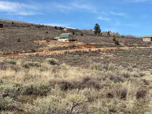 View of yard with a view of rural / pastoral area