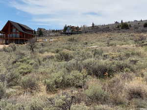 View of yard with a view of rural / pastoral area