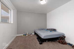 Bedroom featuring baseboards and carpet floors