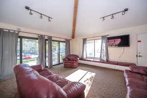 Living room featuring rail lighting, vaulted ceiling with beams, and carpet floors