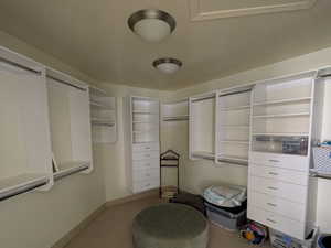 Walk in closet featuring carpet floors