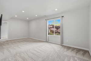 Basement Family Room