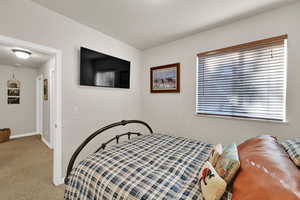 Bedroom featuring carpet floors and baseboards