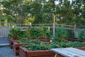 Exterior space with a gate and a garden
