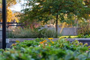 Exterior space featuring a garden