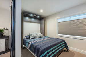 Carpeted  spare room with murphy bed