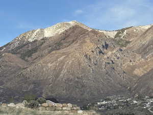 View of mountain background
