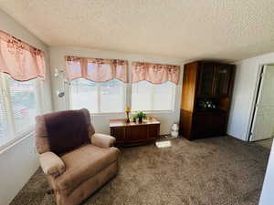 Sitting room with dark carpet and a textured ceiling