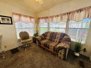 Sunroom featuring carpet