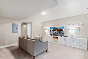 Basement living room