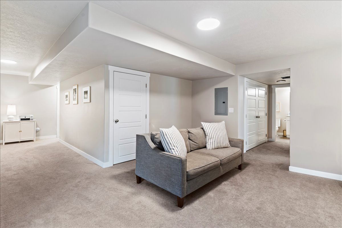 Basement living room
