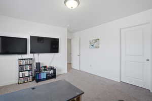 Living area with carpet