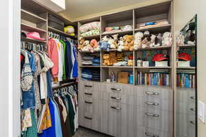 View of walk in closet