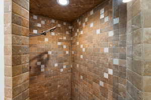 Bathroom with tiled shower