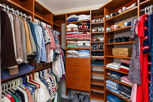 View of walk in closet