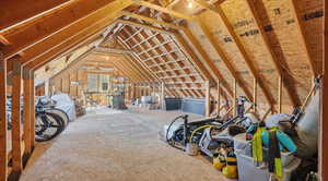 View of unfinished attic