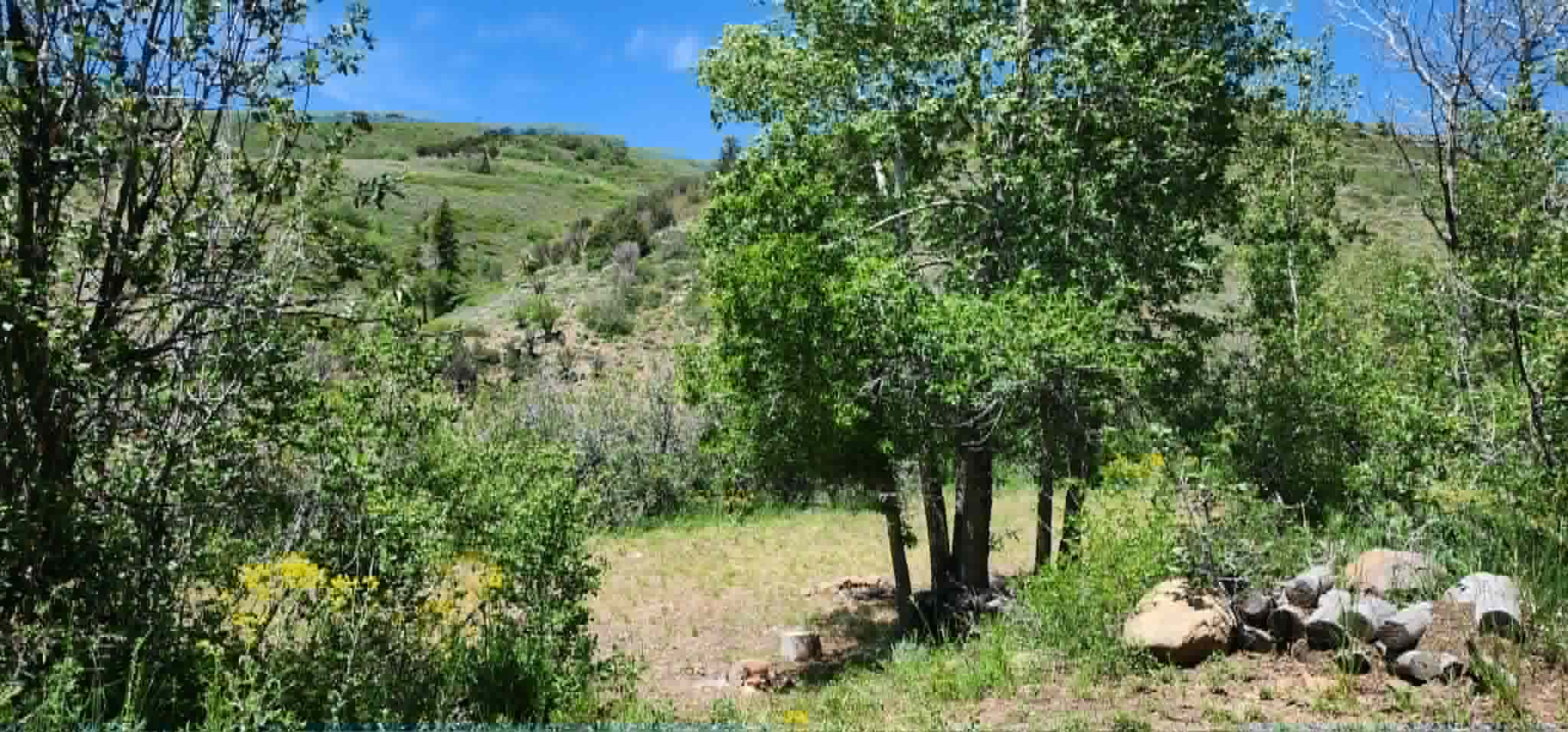 Expansive natural landscape featuring a sloping hillside