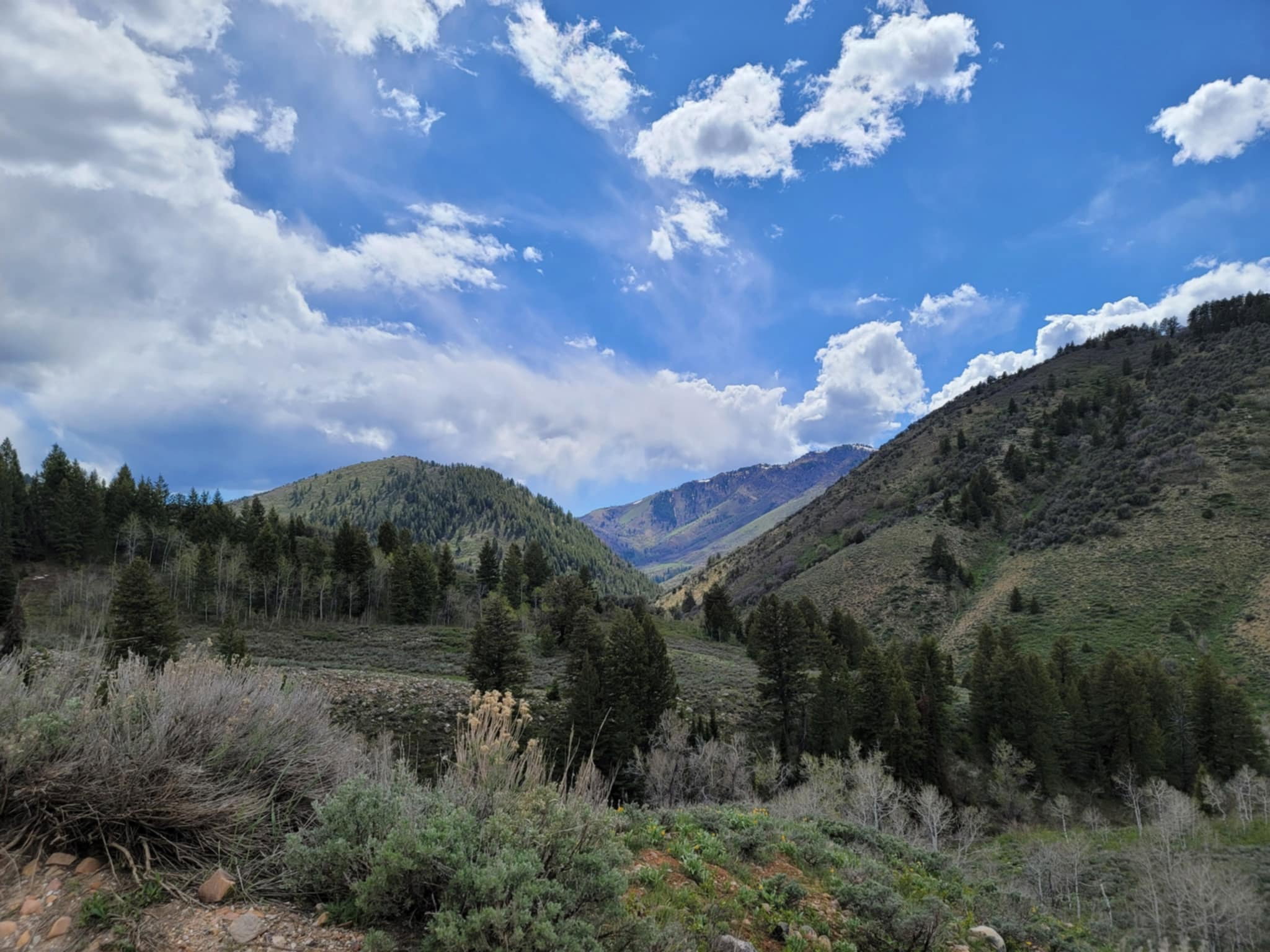 View of mountain backdrop