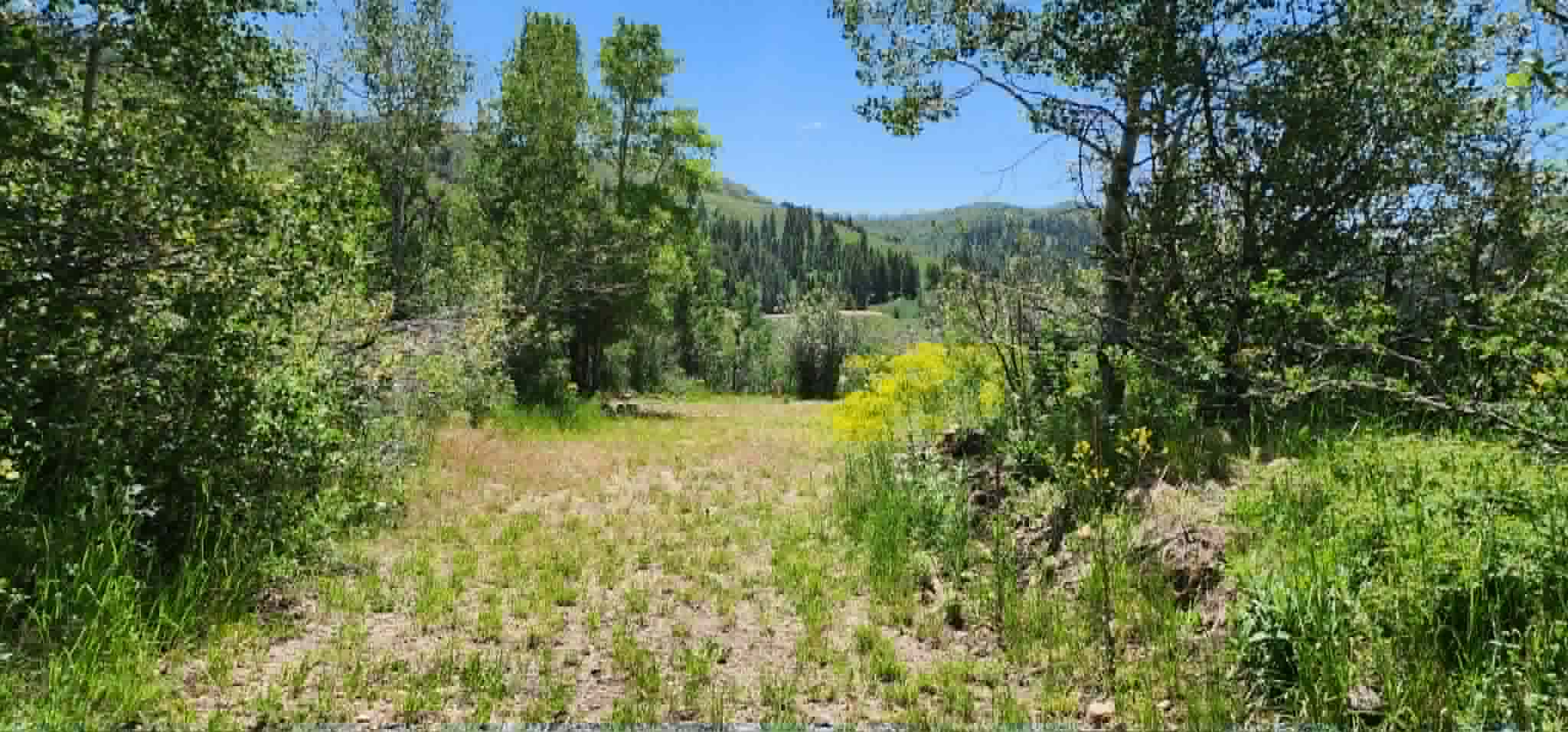 Open grassy area surrounded by varied foliage, featuring a distant mountainous landscape under a clear sky