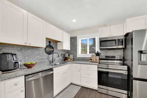Kitchen featuring stainless steel appliances, white cabinetry, light stone counters, decorative backsplash, and recessed lighting