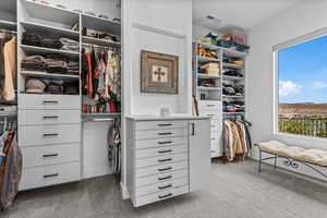 Walk in closet featuring light carpet