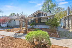 New xeriscape landscaping