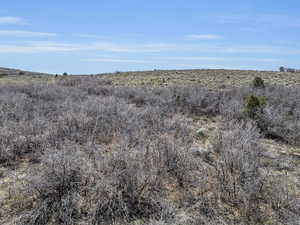 View of undeveloped land featuring rural landscape