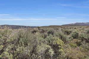 View of mountain backdrop with a forest