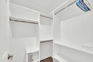 Walk in closet with carpet