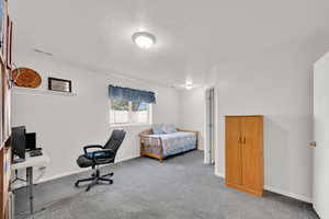 Carpeted bedroom, all windows above ground
