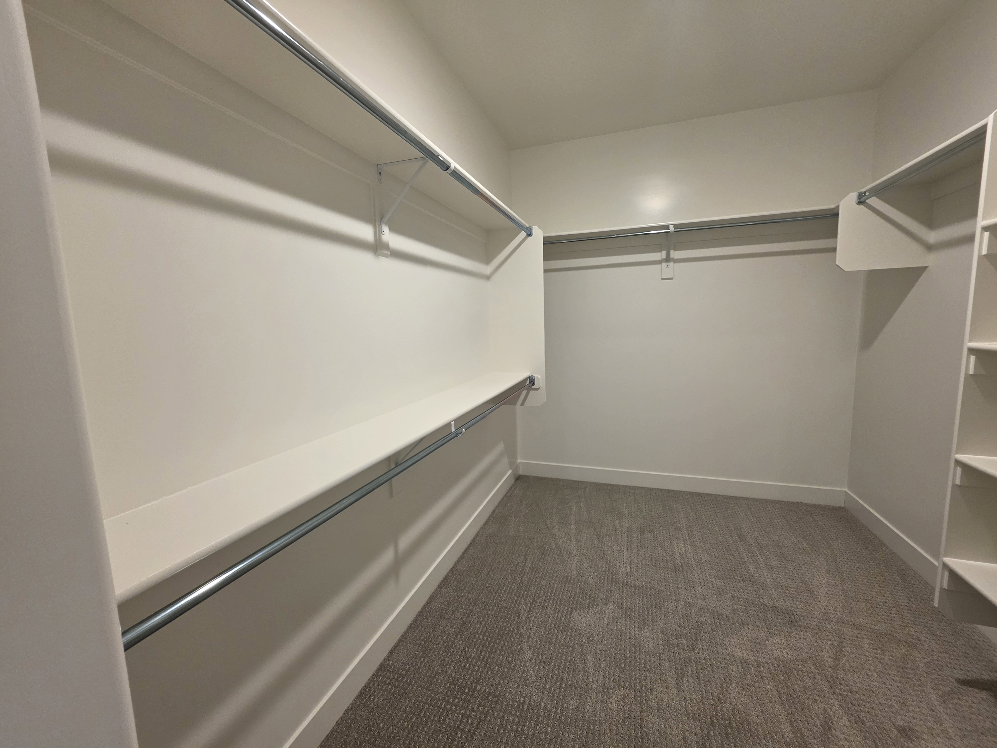Spacious walk-in closet featuring built-in shelving, multiple hanging rods, and neutral-toned carpet flooring