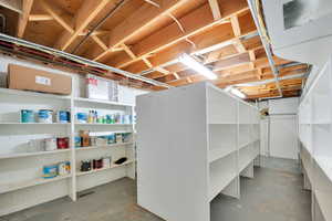 Basement storage room