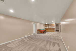 Basement Living Room