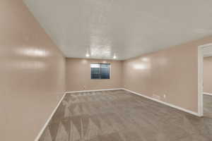 Basement Living Room