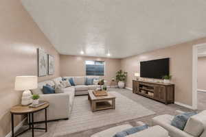 Staged Basement Living Room