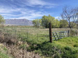 View of yard with a mountain view and a view of rural / pastoral area