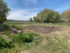 View of yard with a view of countryside