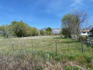 View of yard with a mountain view and a view of countryside