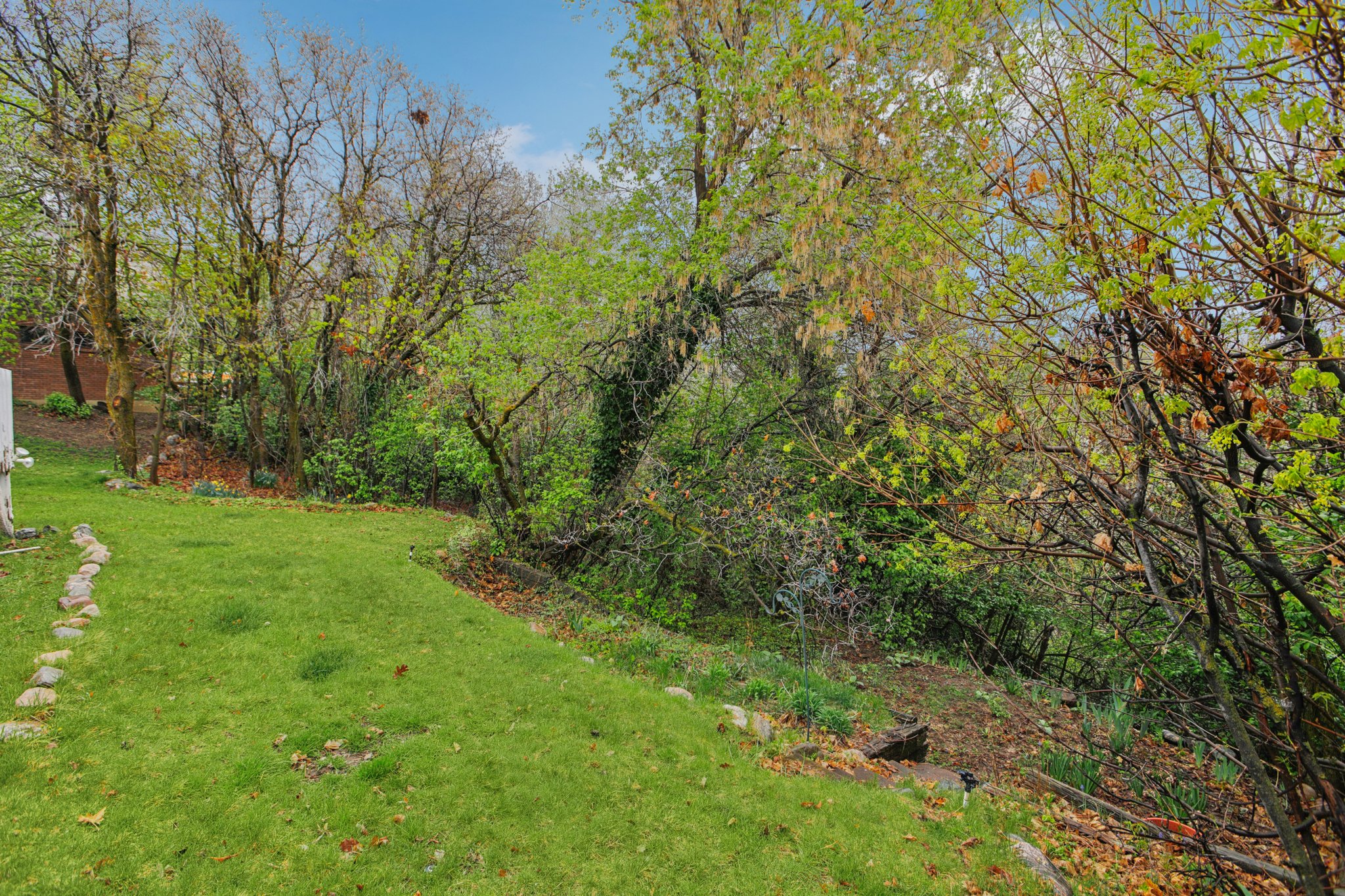 View of grassy yard