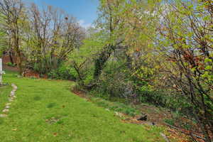 View of grassy yard